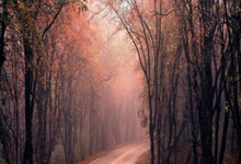 2020歐洲杯16強賽程表.