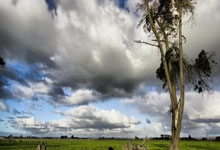 伟德体育：埃及對決摩洛哥，奧運男足銅獎爭奪戰 阿什拉夫與埃爾內尼領銜出戰.