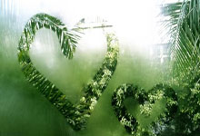 伟德体育：28年前的今天：阿森纳从巴黎签下了17岁的阿内尔卡.