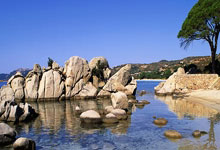 宋亚东表态希望二番战：向赛胡多道歉，我想我们该来场二番战.